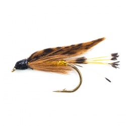 Grouse & Gold Wet Fly